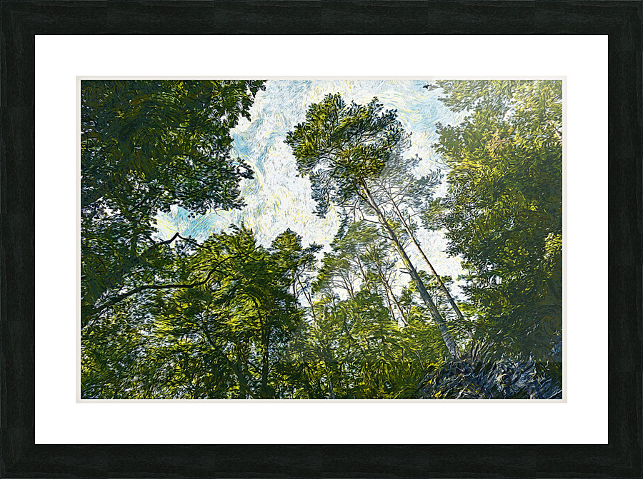 01 51 Picture Frame print