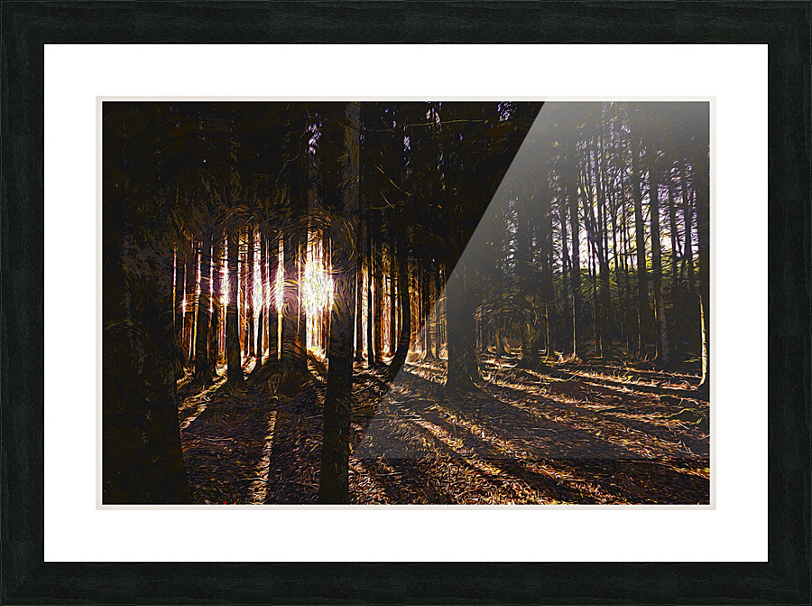 01 59 Picture Frame print