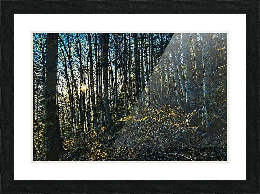 01 54 Picture Frame print