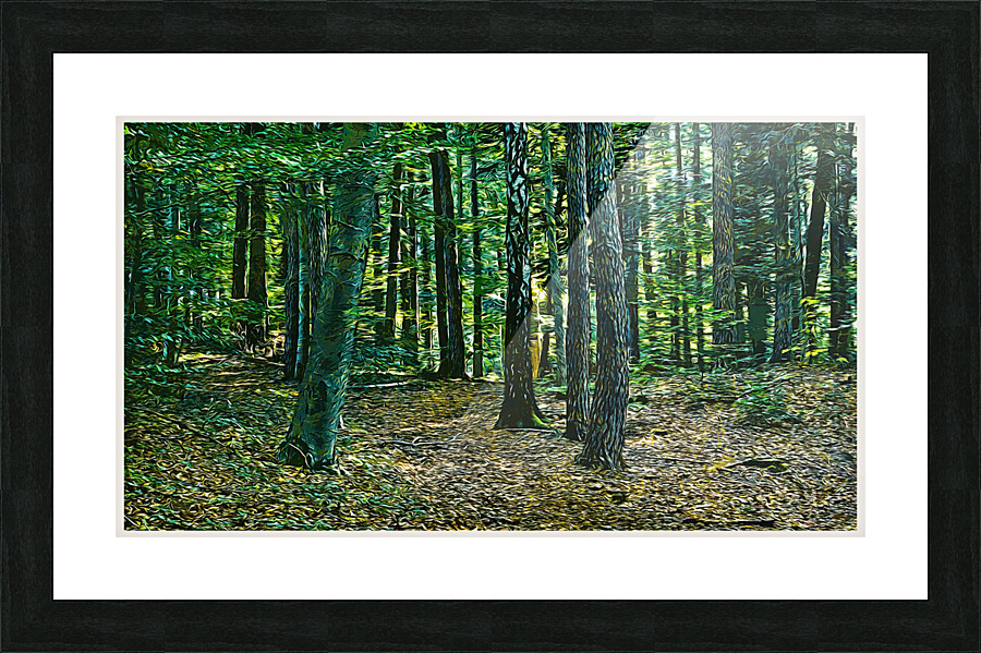 01 58 Picture Frame print