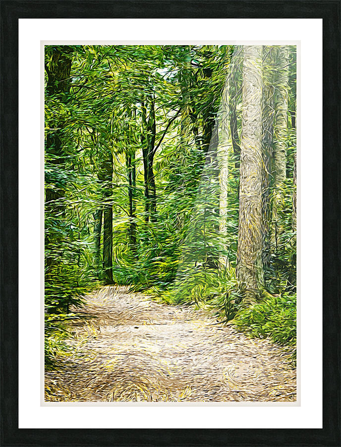 01 53 Picture Frame print