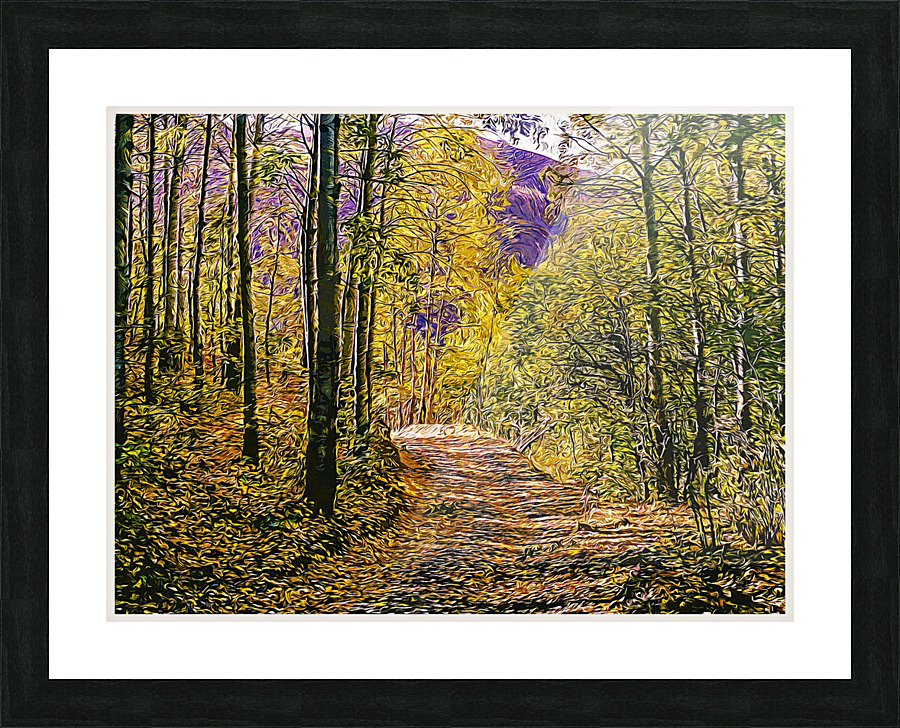 01 146 Picture Frame print