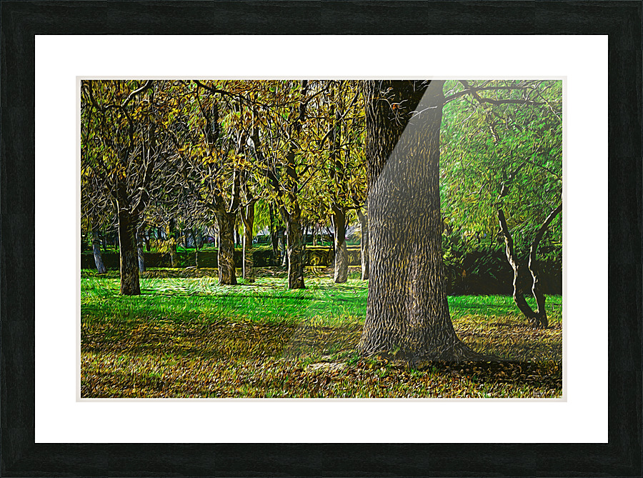 01 151 Picture Frame print