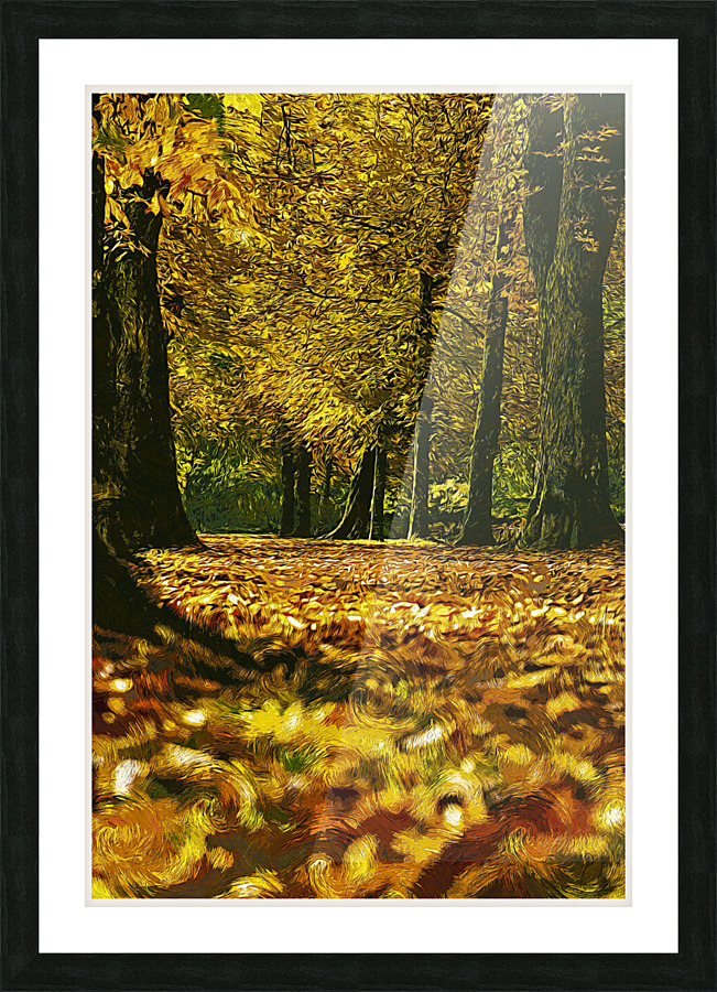 01 149 Picture Frame print