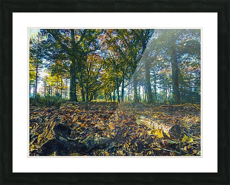 01 121 Picture Frame print
