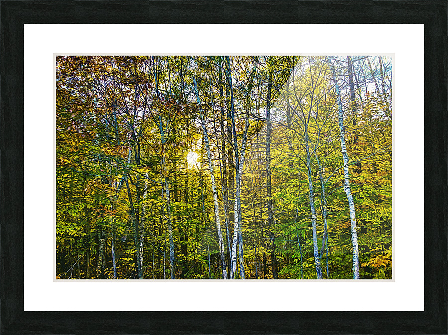 01 143 Picture Frame print