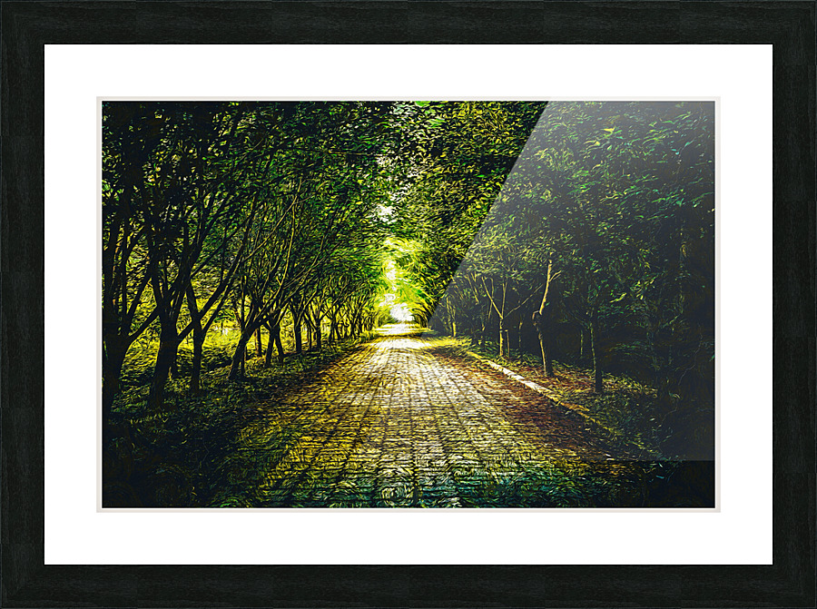 01 138 Picture Frame print
