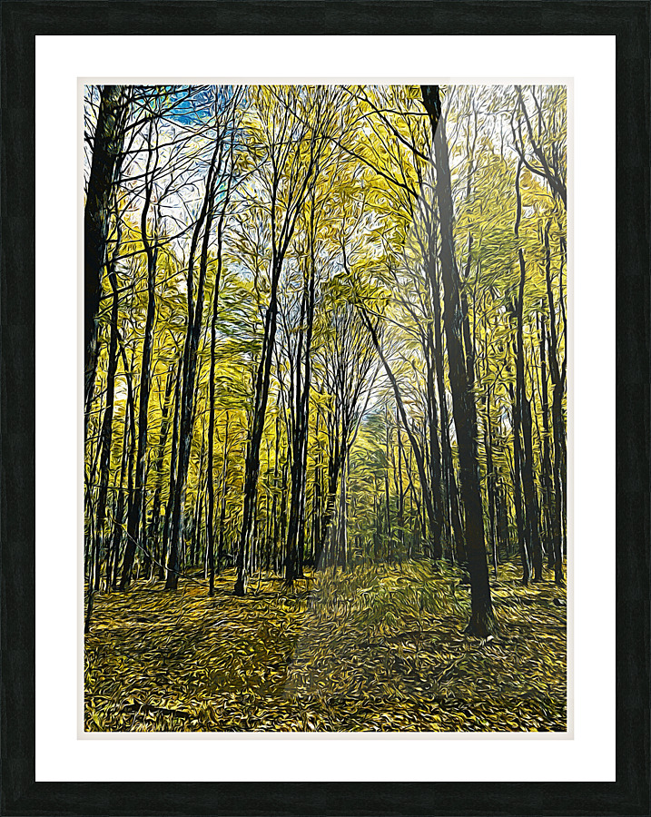 01 155 Picture Frame print
