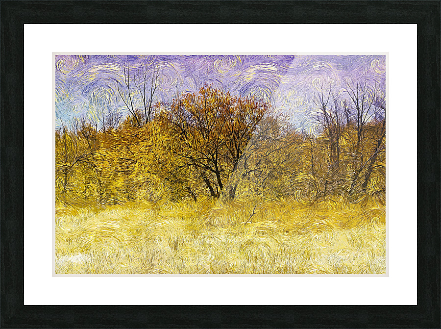 01 120 Picture Frame print