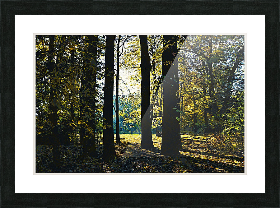 01 131 Picture Frame print