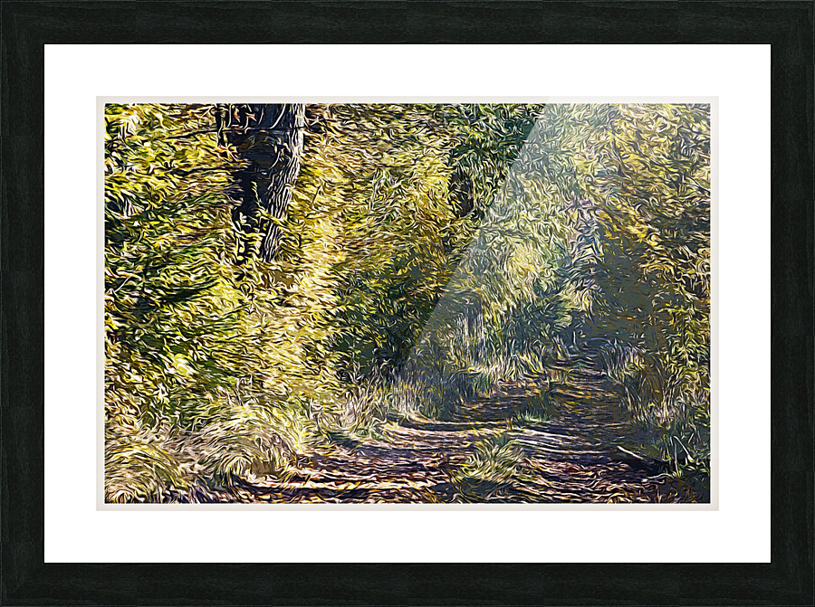 01 133 Picture Frame print