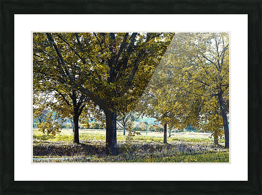01 163 Picture Frame print