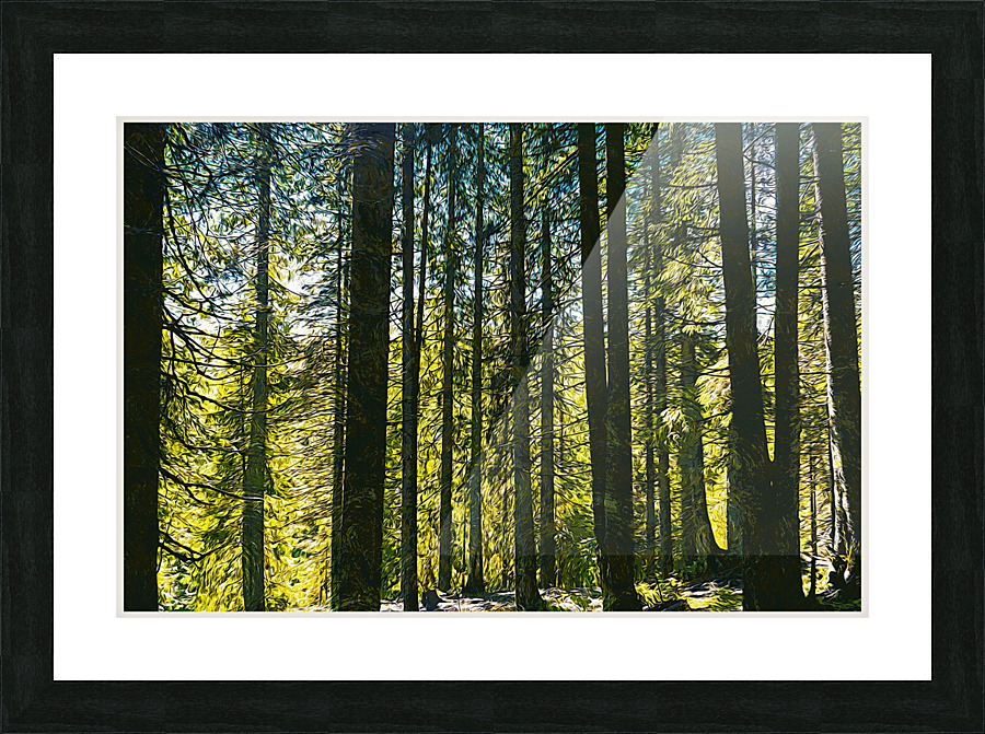 01 153 Picture Frame print
