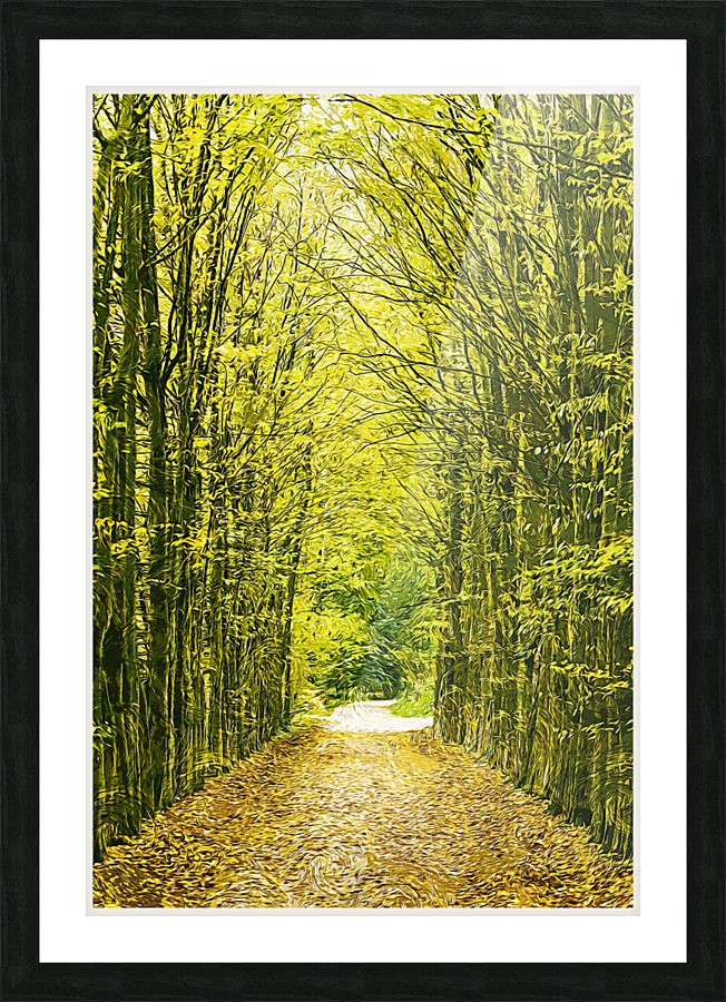 01 160 Picture Frame print