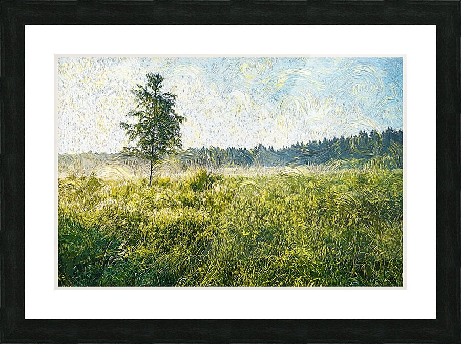 01 169 Picture Frame print