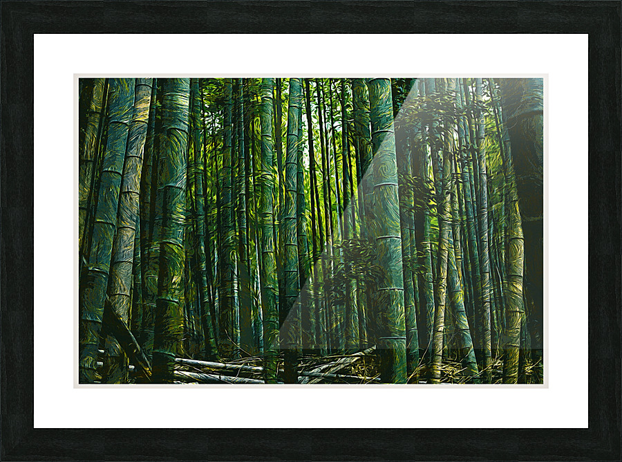 01 170 Picture Frame print
