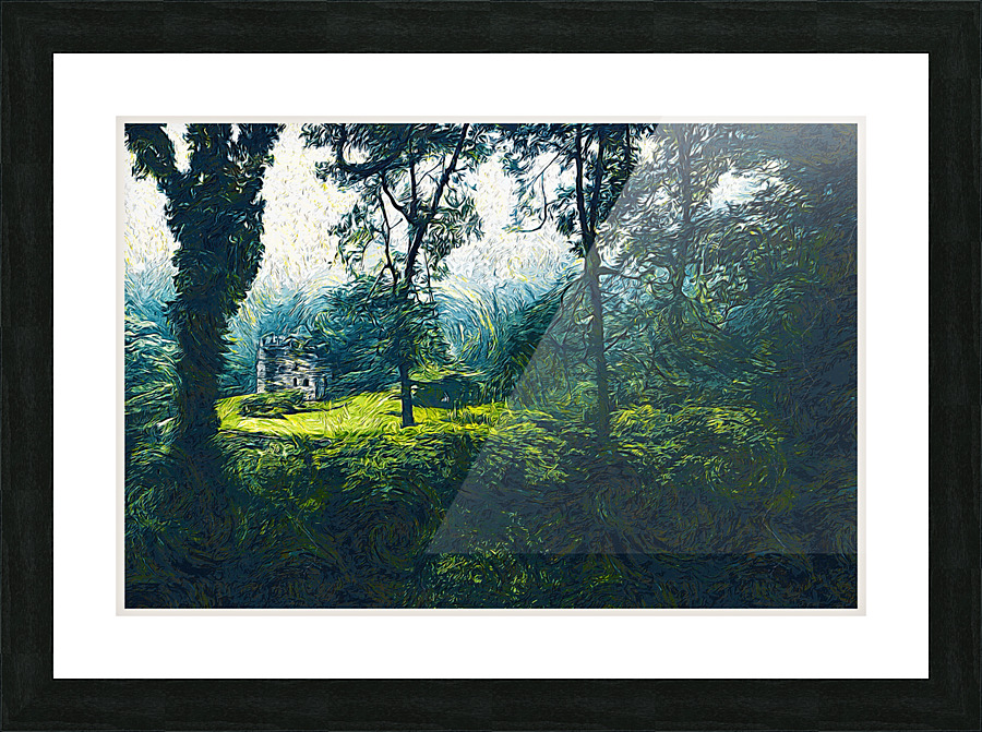 01 199 Picture Frame print