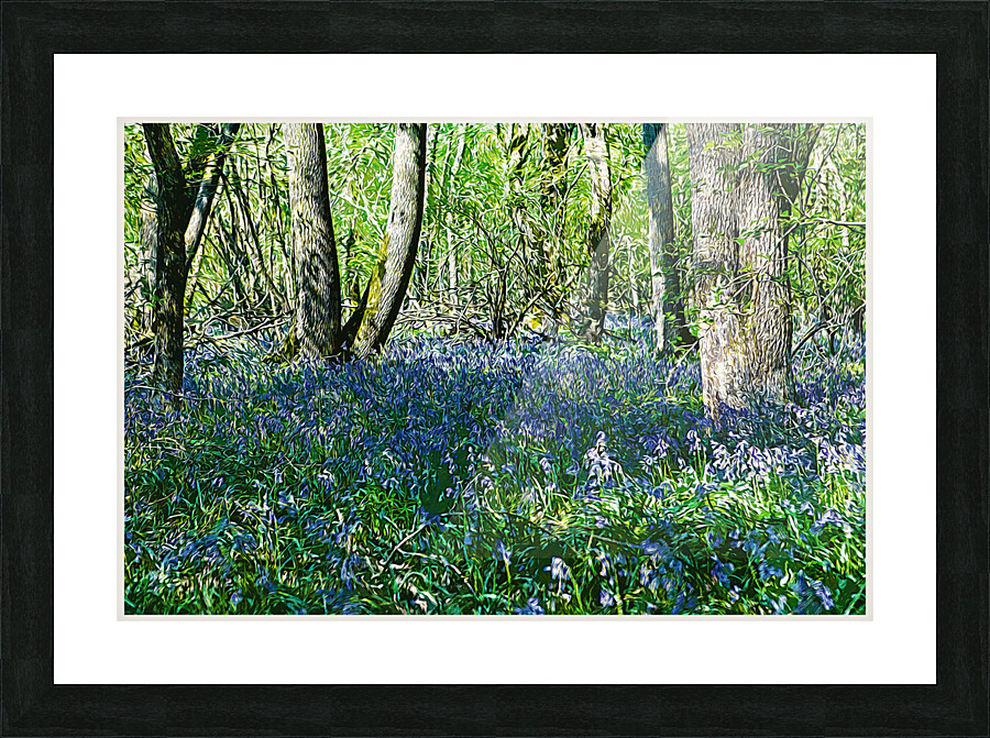 01 188 Picture Frame print