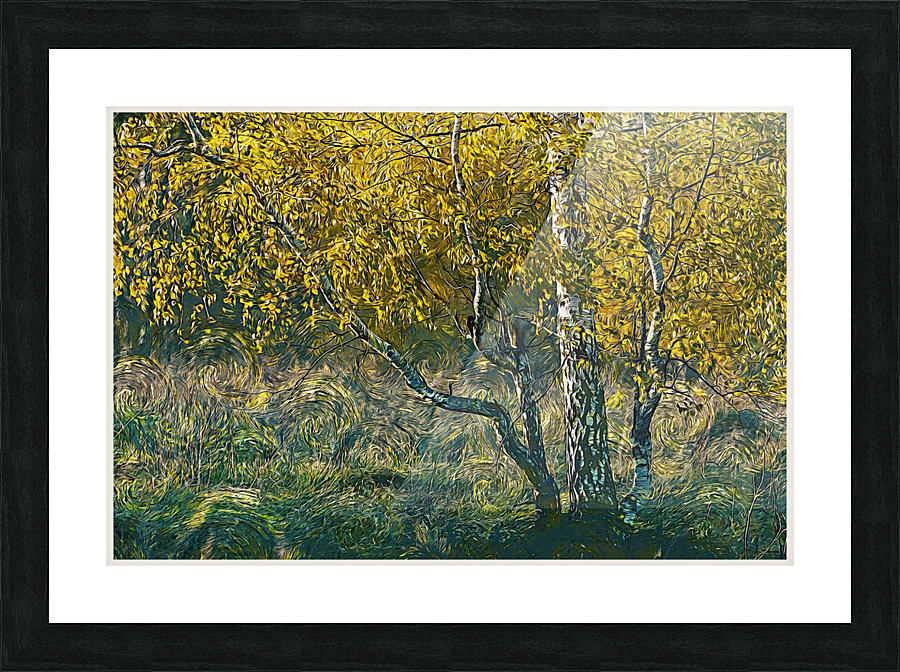 01 181 Picture Frame print