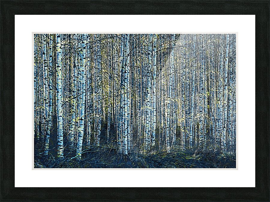 01 185 Picture Frame print