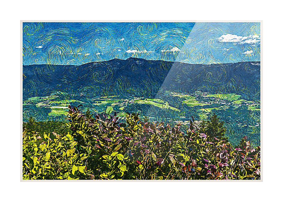 01 176 Picture Frame print