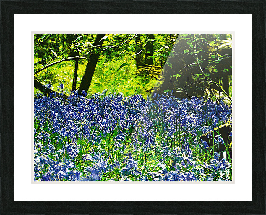 01 195 Picture Frame print