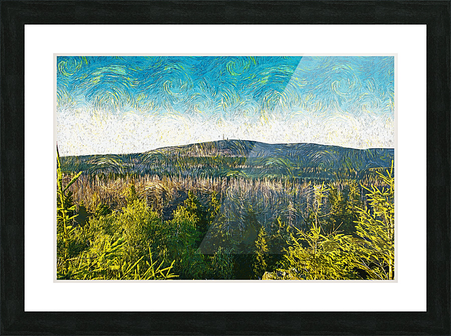 01 203 Picture Frame print