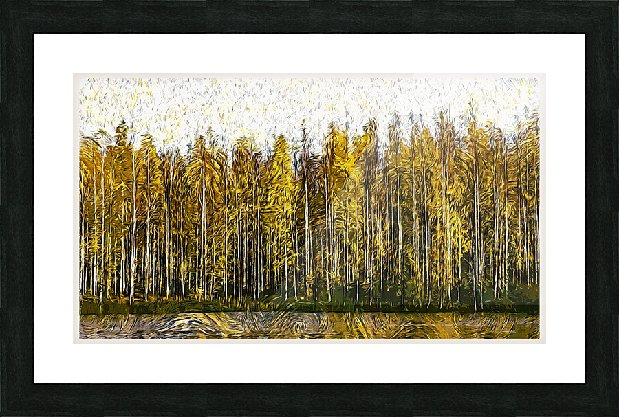 01 186 Picture Frame print