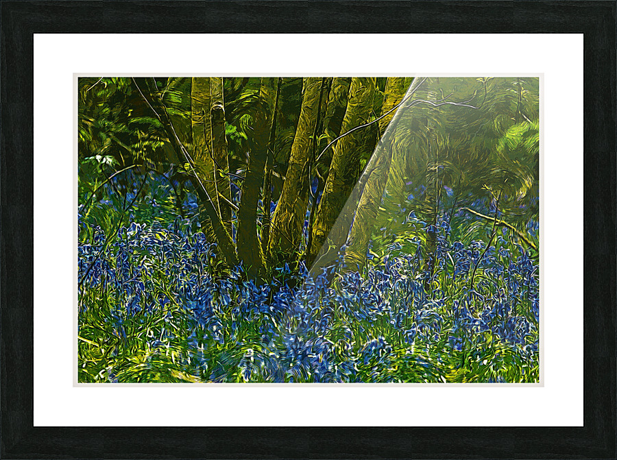 01 189 Picture Frame print