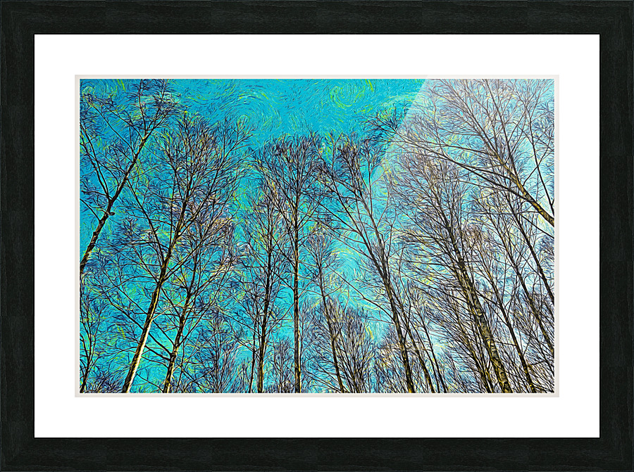 01 184 Picture Frame print