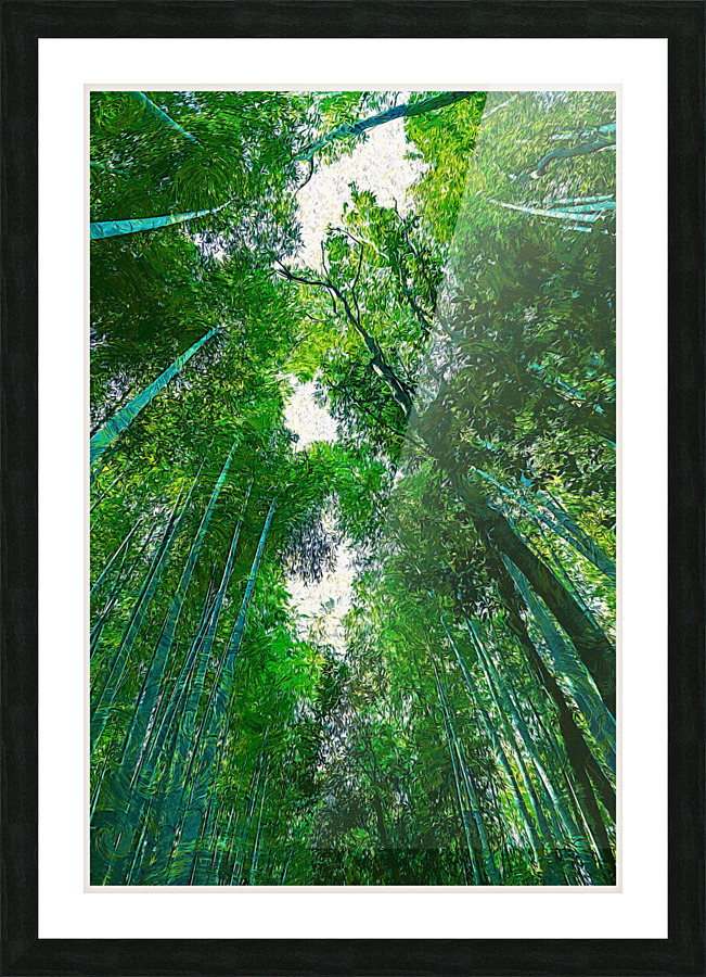 01 171 Picture Frame print