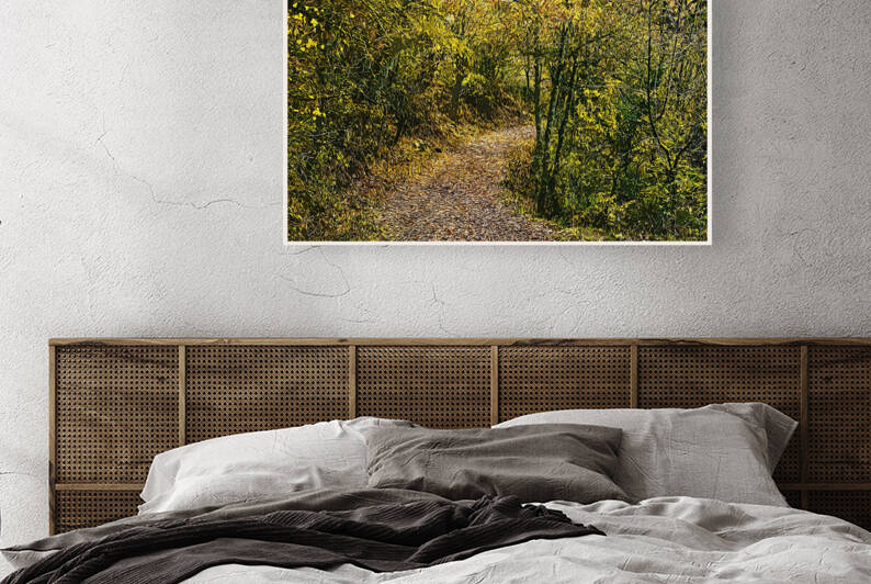 01 45 by ArtStock