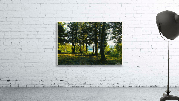 01 42 Wall Preview