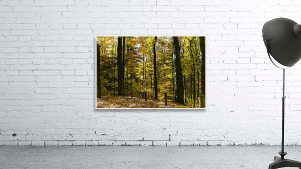 01 35 Wall Preview