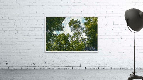 01 51 Wall Preview