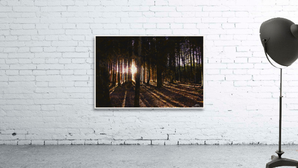 01 59 Wall Preview