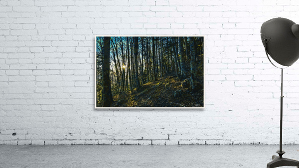 01 54 Wall Preview