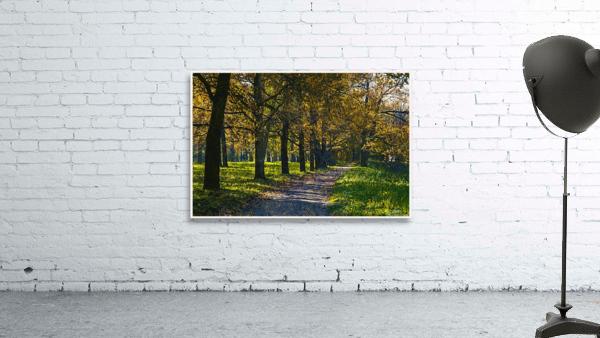 01 147 Wall Preview