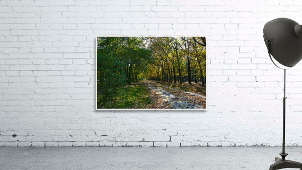 01 137 Wall Preview
