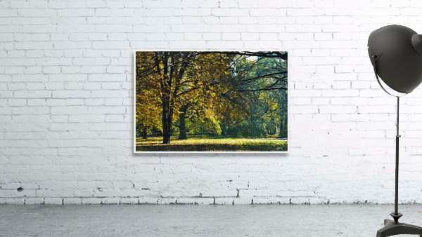 01 132 Wall Preview