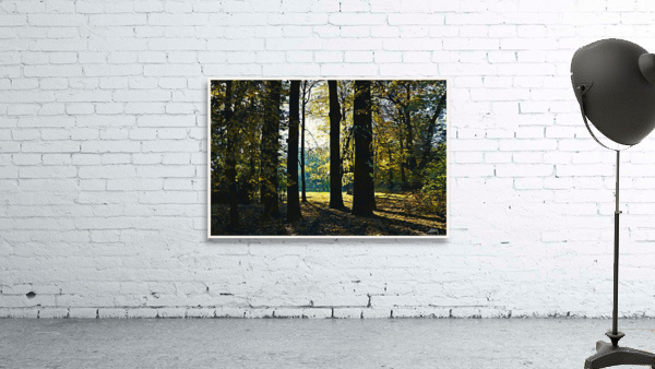 01 131 Wall Preview