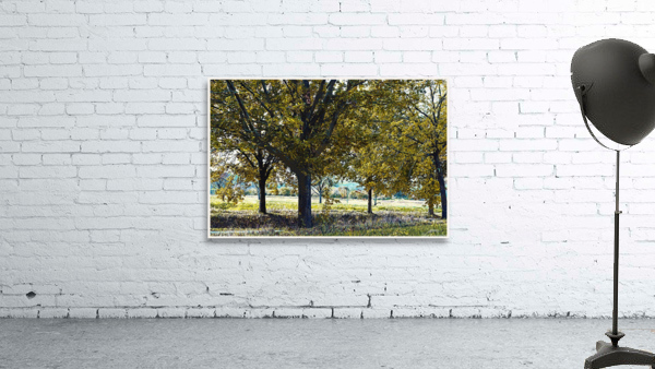 01 163 Wall Preview