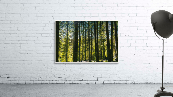 01 153 Wall Preview