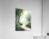 Serene Bamboo Forest Path Acrylic Print