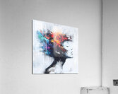 Abstract Color Flow Acrylic Print