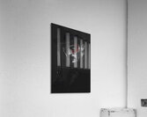 Dark Elegance: Shadow Assassin Acrylic Print