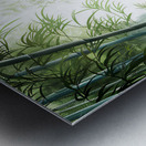 Serene Bamboo Forest Path Metal print