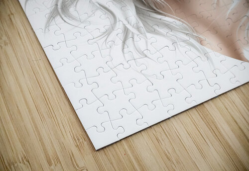 Electric Diva Fab Haven puzzle
