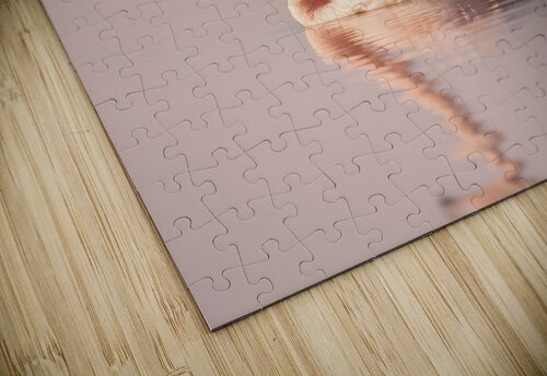 Graceful Flamingo Reflection Fab Haven puzzle