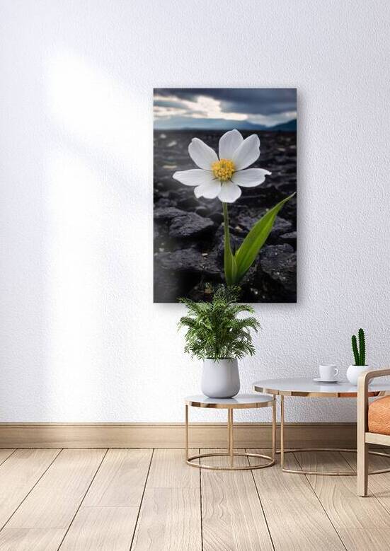 Resilient Flower Blooming in Rocky Terrain by Fab Haven